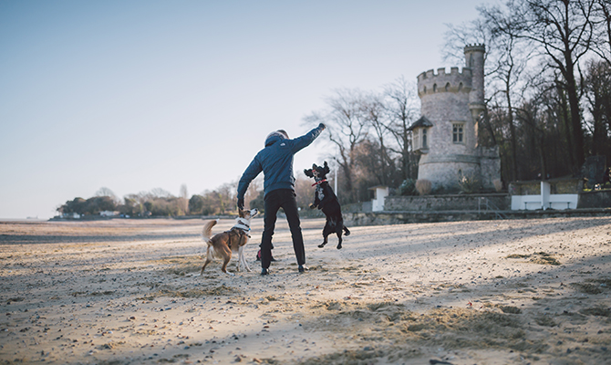man playing with dogs on a frosty morning
