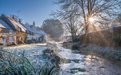 Simple Island Winter Wins (and how Wightbay helps)